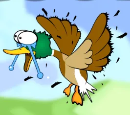 Duck Shooter